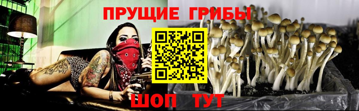 Барабинск  Псилоцибиновые грибы Magic Shrooms  Вход с VPN 