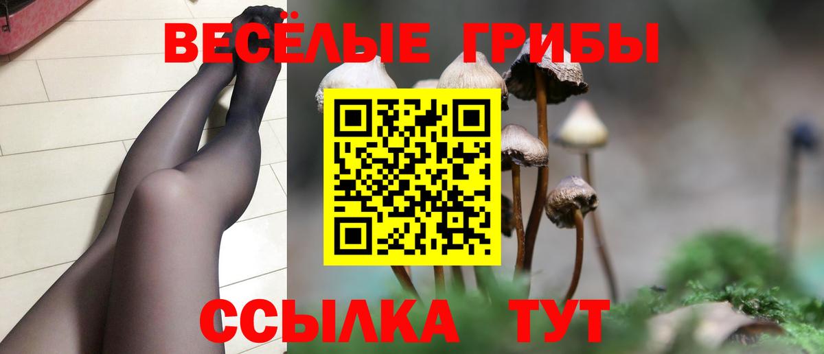 Галлюциногенные грибы мухоморы Барабинск